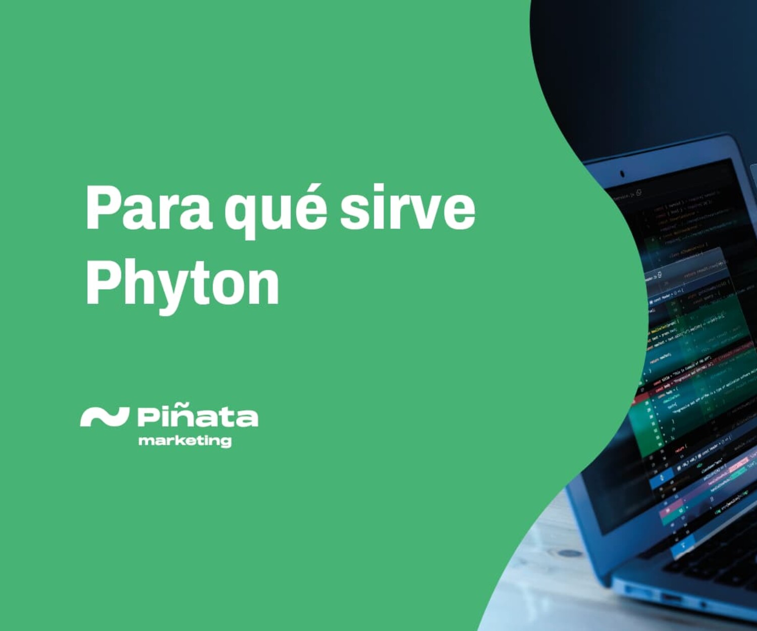 Para qué sirve Phyton